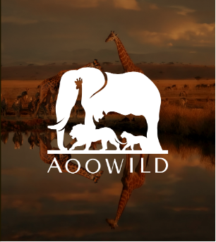 About Aoo Wild  Safaris