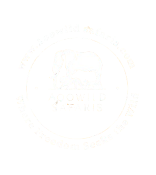 Aoo Wild Safaris Logo